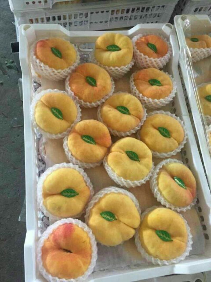 黄桃树苗8月份成熟的桃
