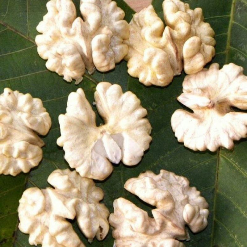 青皮核桃去青皮的新鲜漾濞核桃