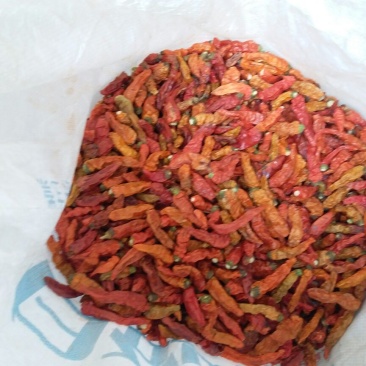 朝天椒干辣椒小米辣