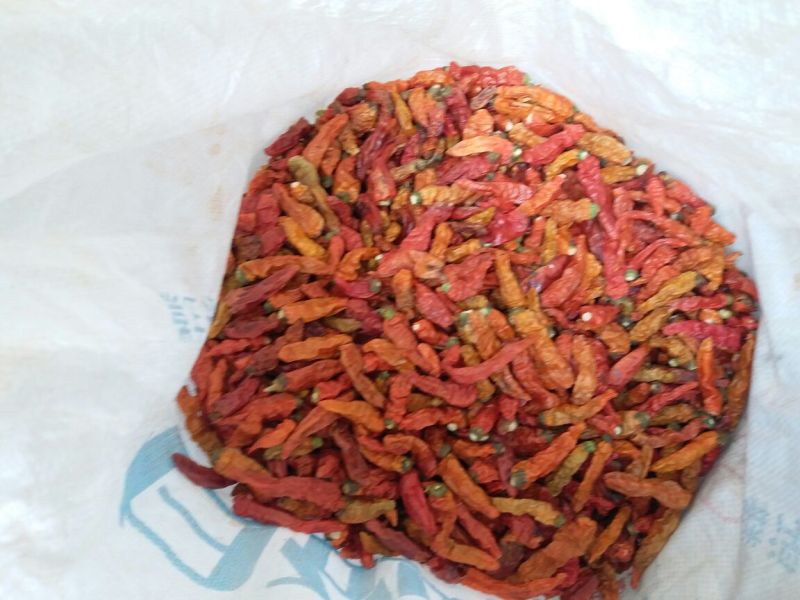 朝天椒干辣椒小米辣