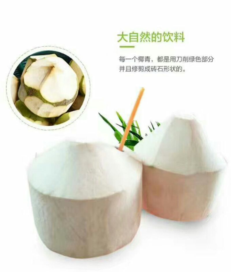 椰子椰子75元包邮