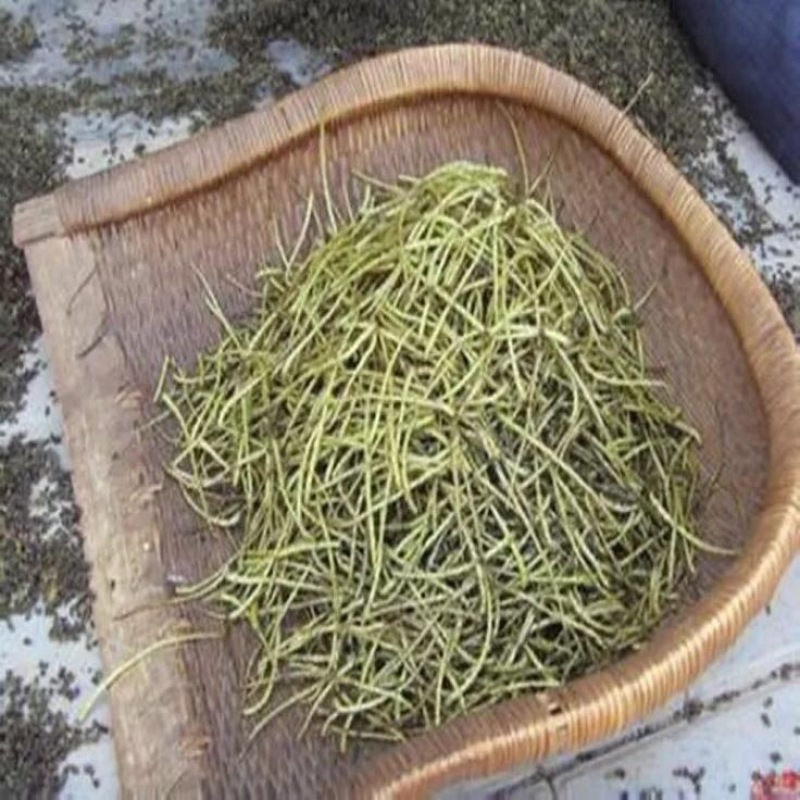 核桃花