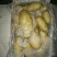 荷兰十五土豆大量供应箱装精品超袋装加工厂货