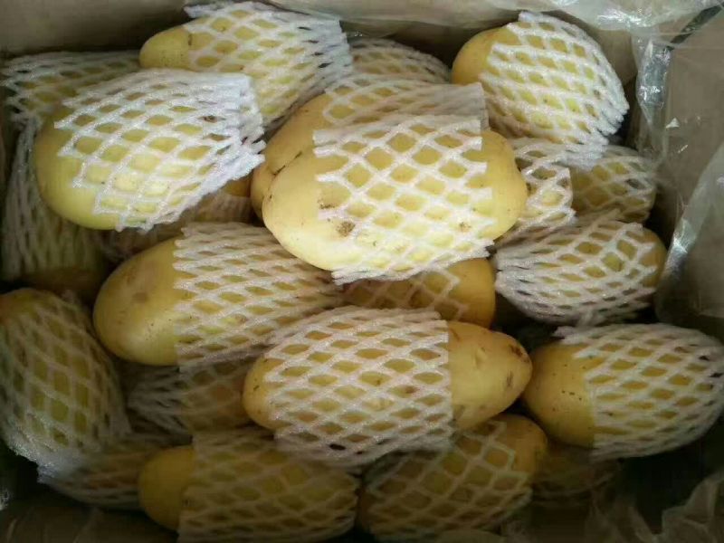荷兰十五土豆大量供应箱装精品超袋装加工厂货