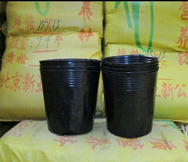 育苗袋