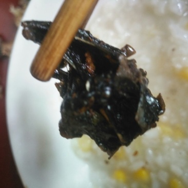 血毛土鸡6月以下