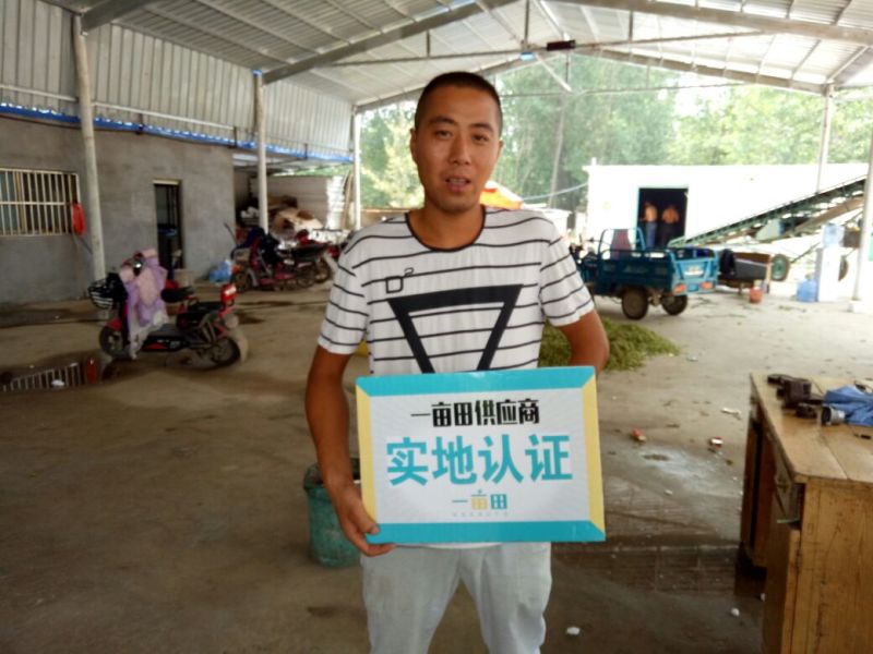 毛豆绿宝石