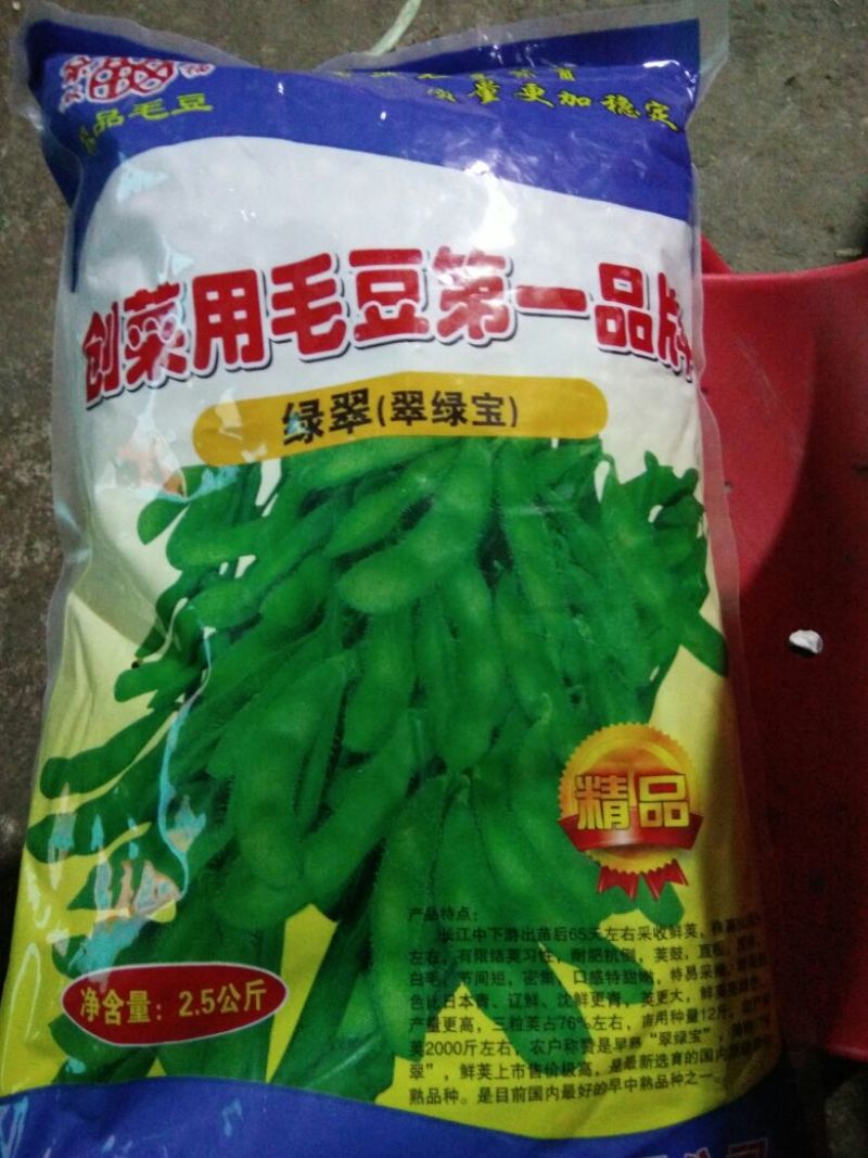 毛豆种子