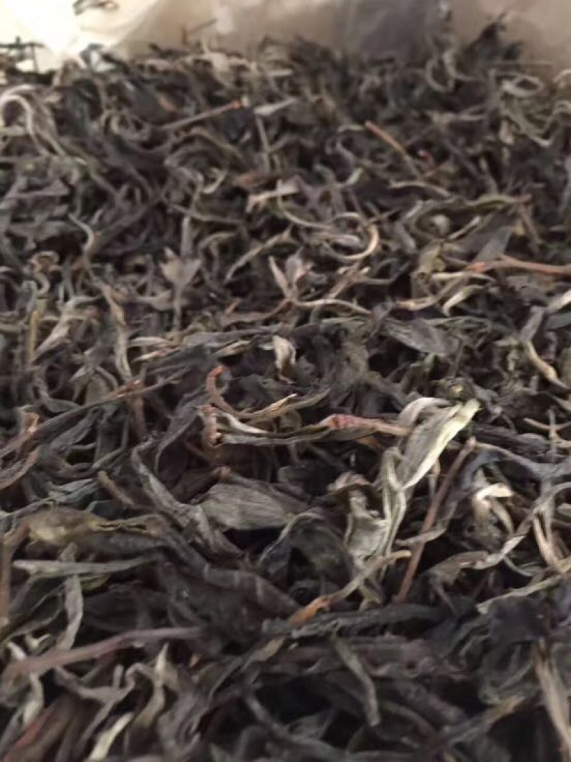 普洱茶一级