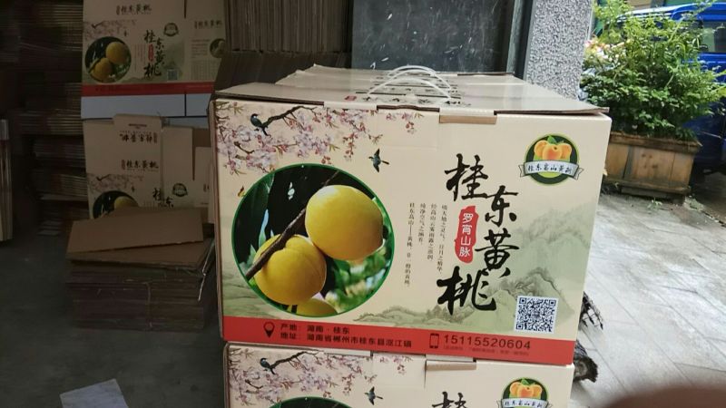 锦绣黄桃3~4两