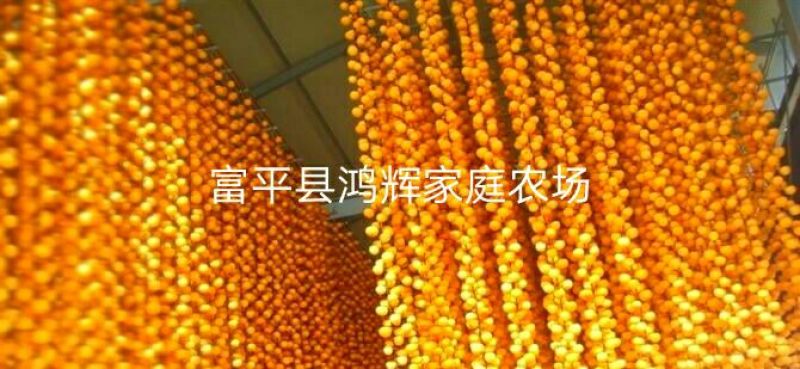 柿饼1~2两