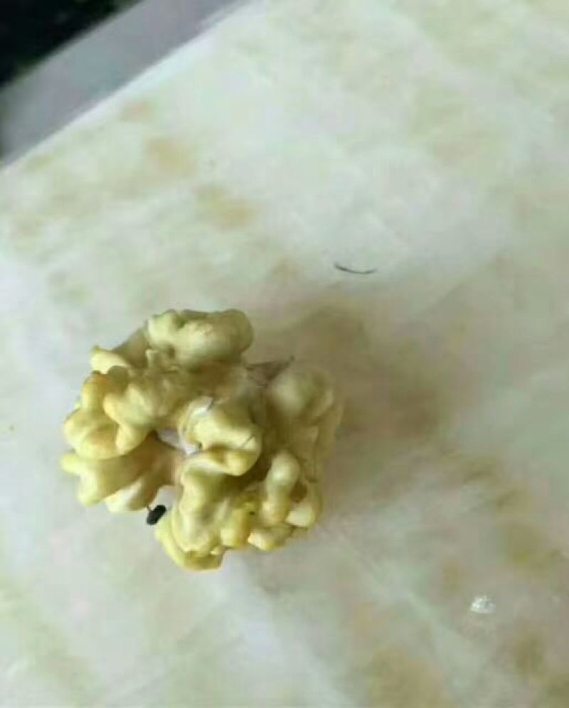 青皮核桃，个头大，青皮薄，硬核基本上都是皮薄质优价廉，