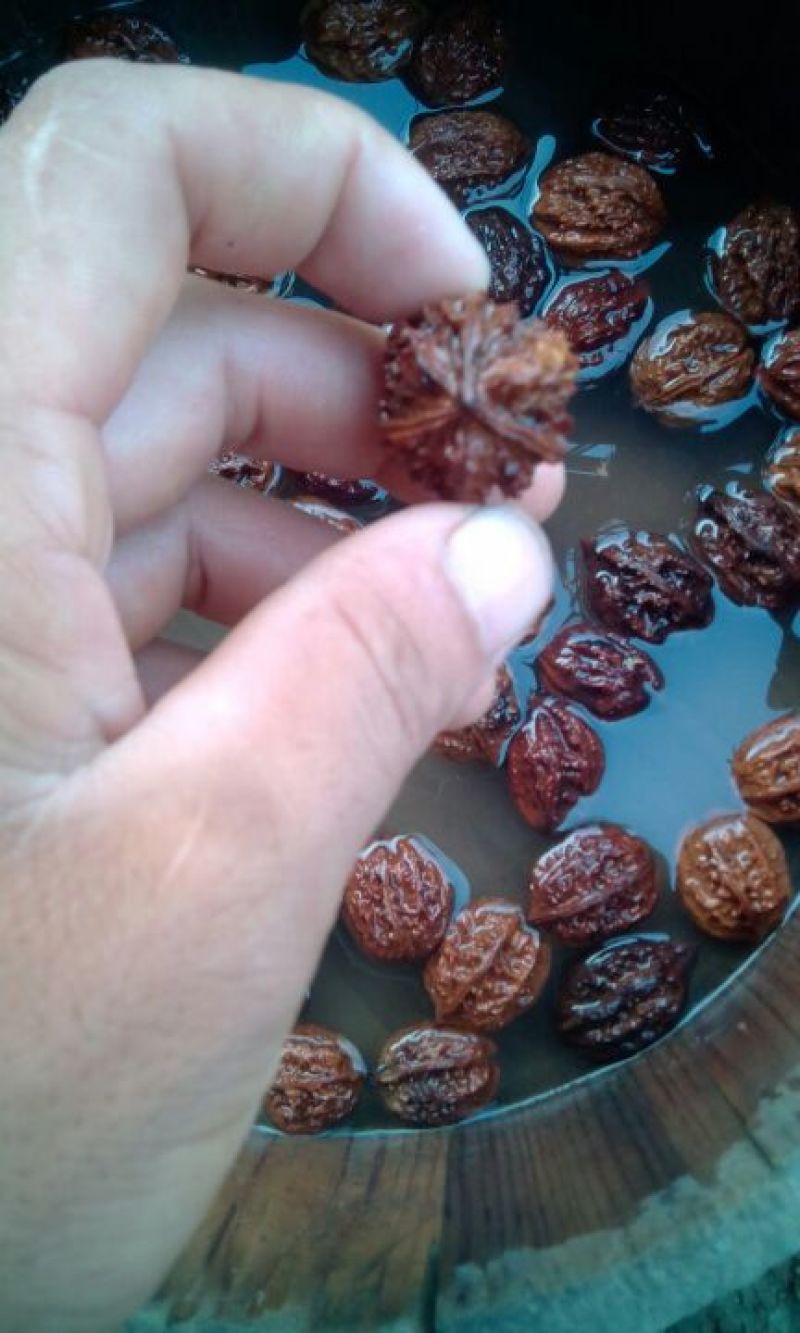文玩核桃