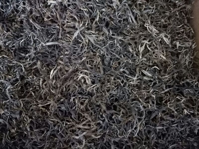 古树普洱茶一级