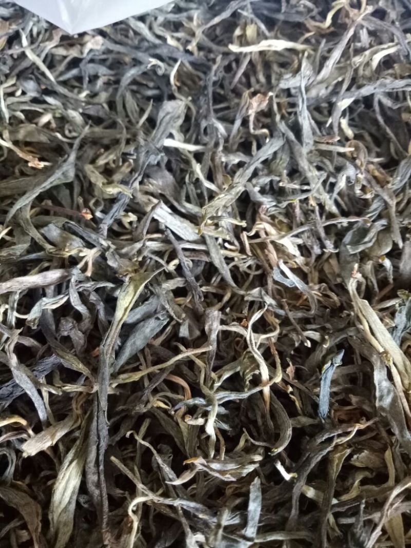 古树普洱茶一级