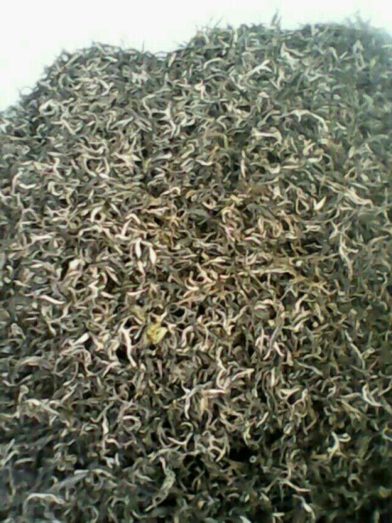 百年大树茶特级