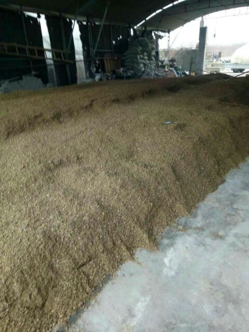 平菇菌棒22*47