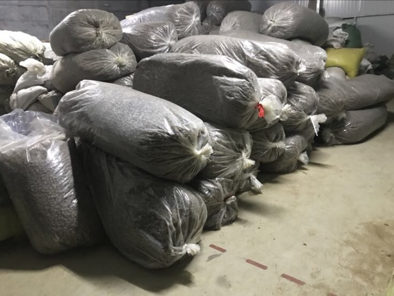 蝉蜕统货沙地蝉蜕知了壳水洗蝉蜕