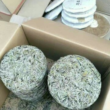 福鼎白茶三级