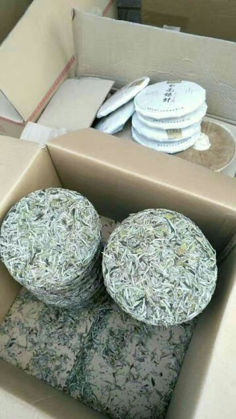 福鼎白茶三级
