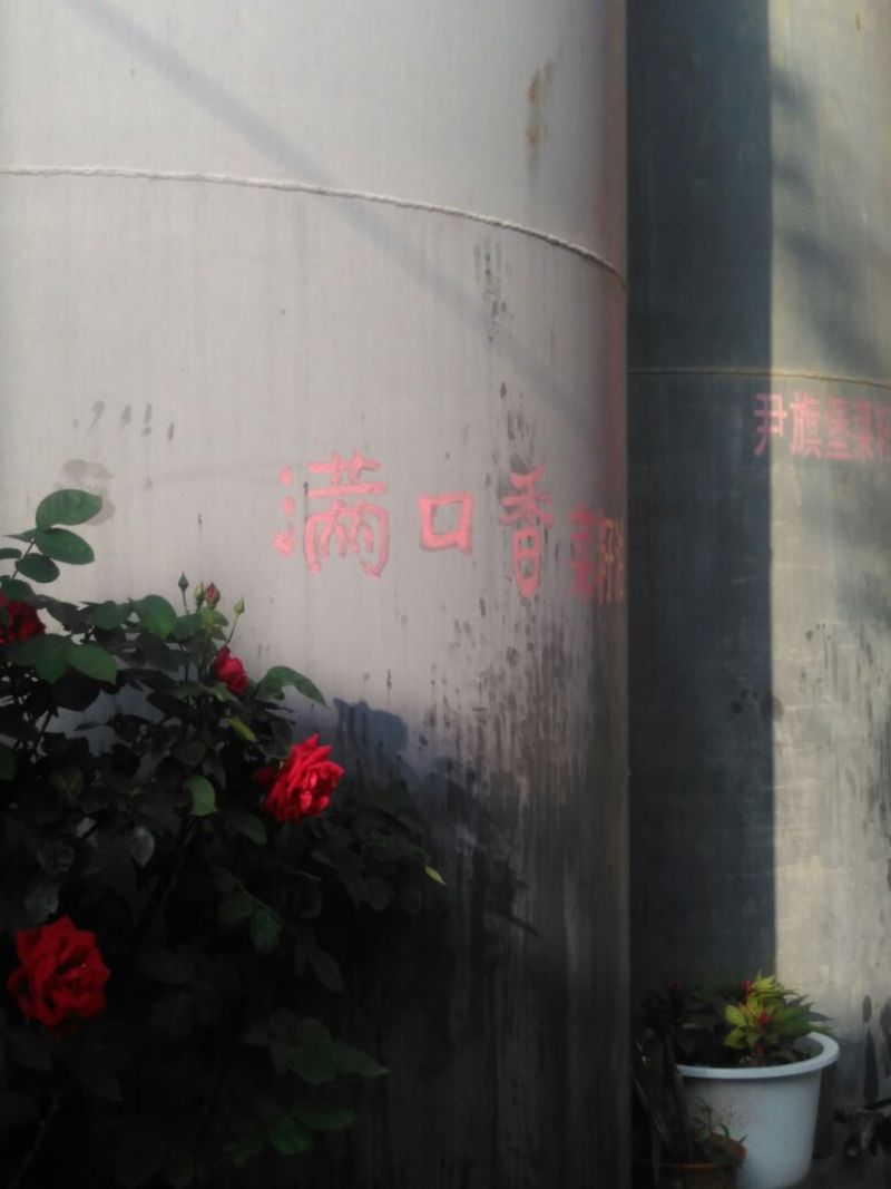 菜油四级