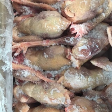 白条鸡包装