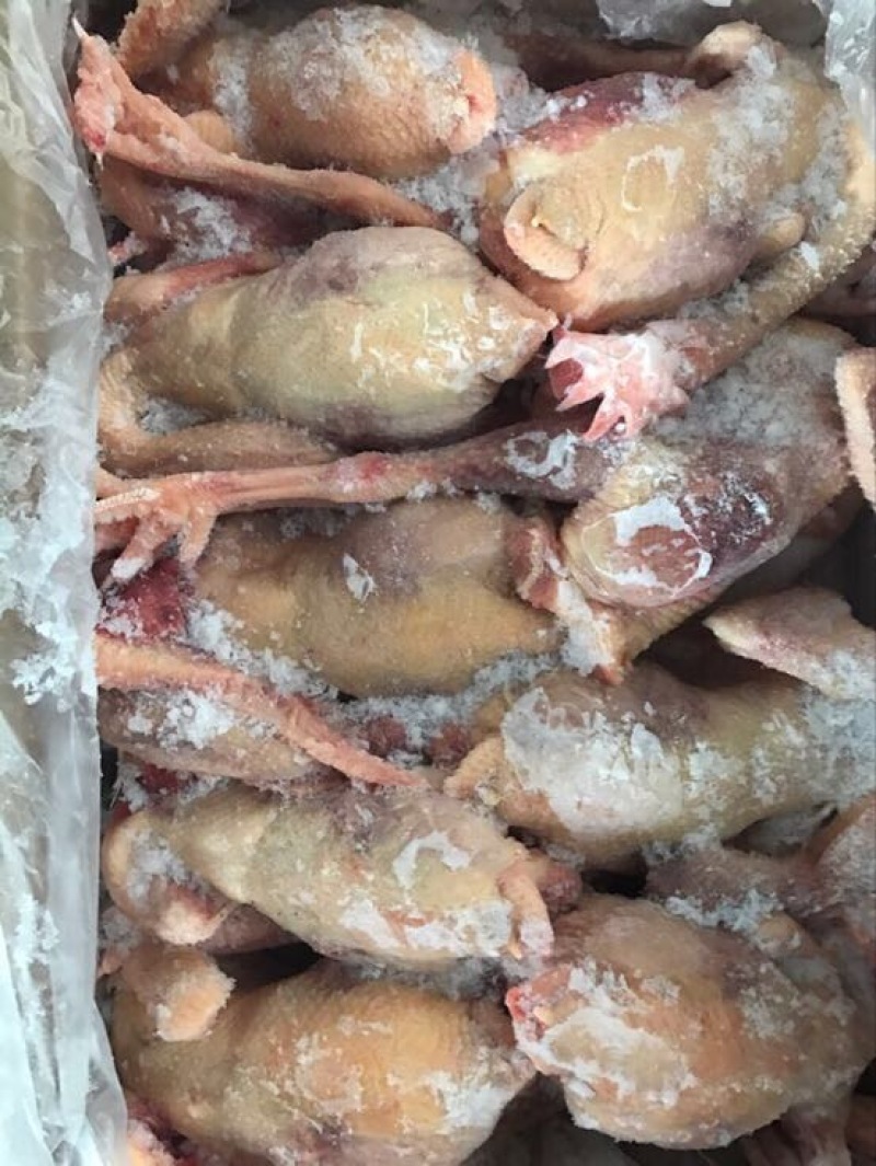 白条鸡包装