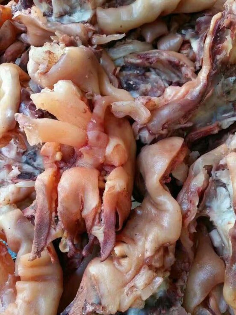 手工修毛品质保证工厂直发