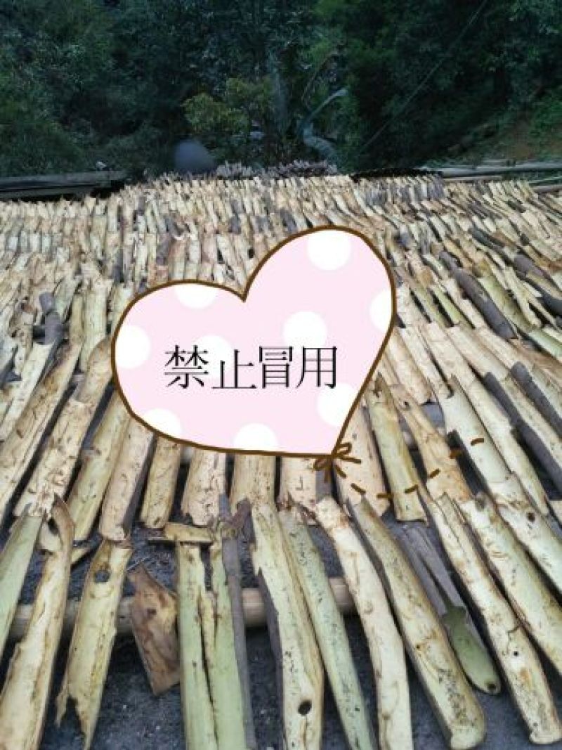 厚肉桂散装中通