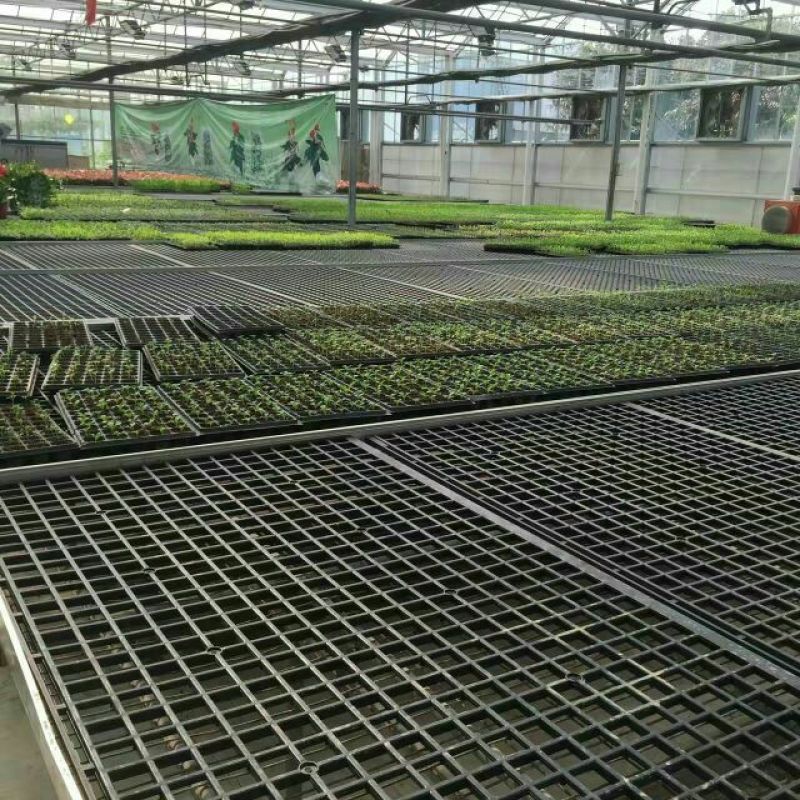 穴盘，育苗盘。育苗穴盘。种植盘蔬菜鸡各种植物育苗容器