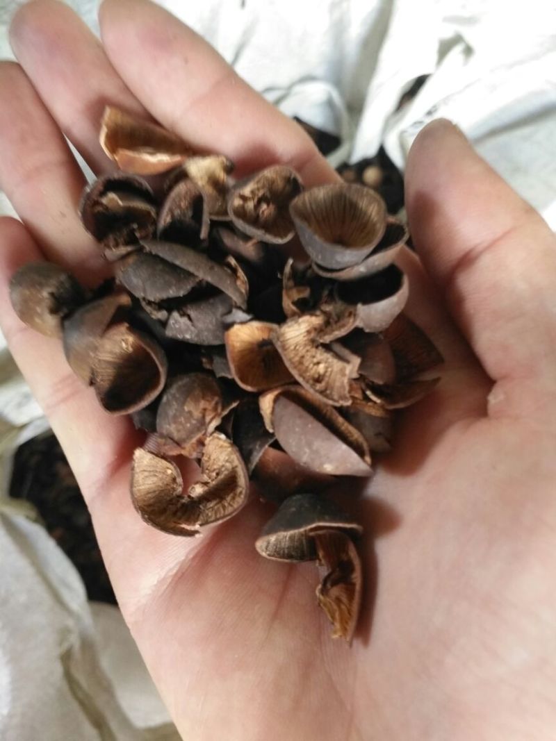 莲子壳