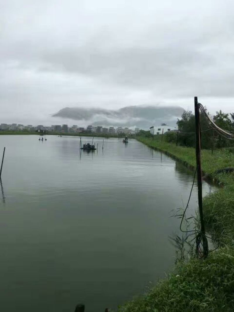 虾干一级