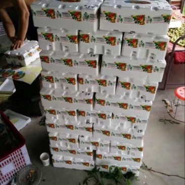 大荔冬枣拐三