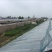 大荔冬枣拐三