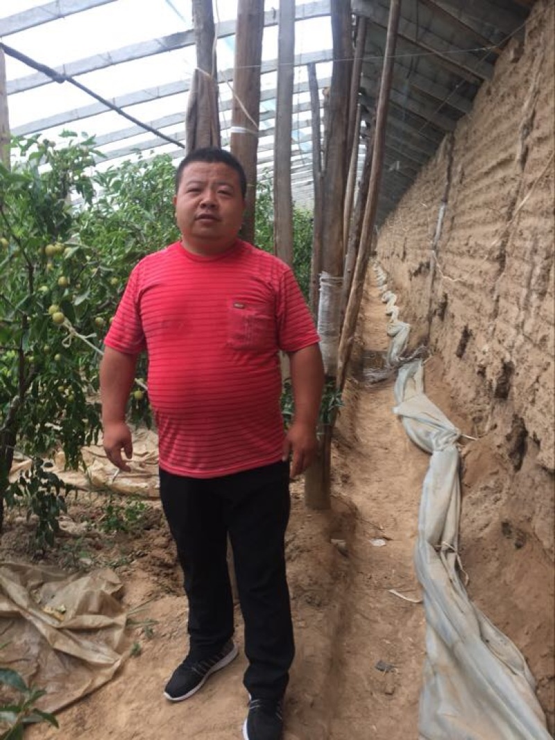大荔冬枣拐三