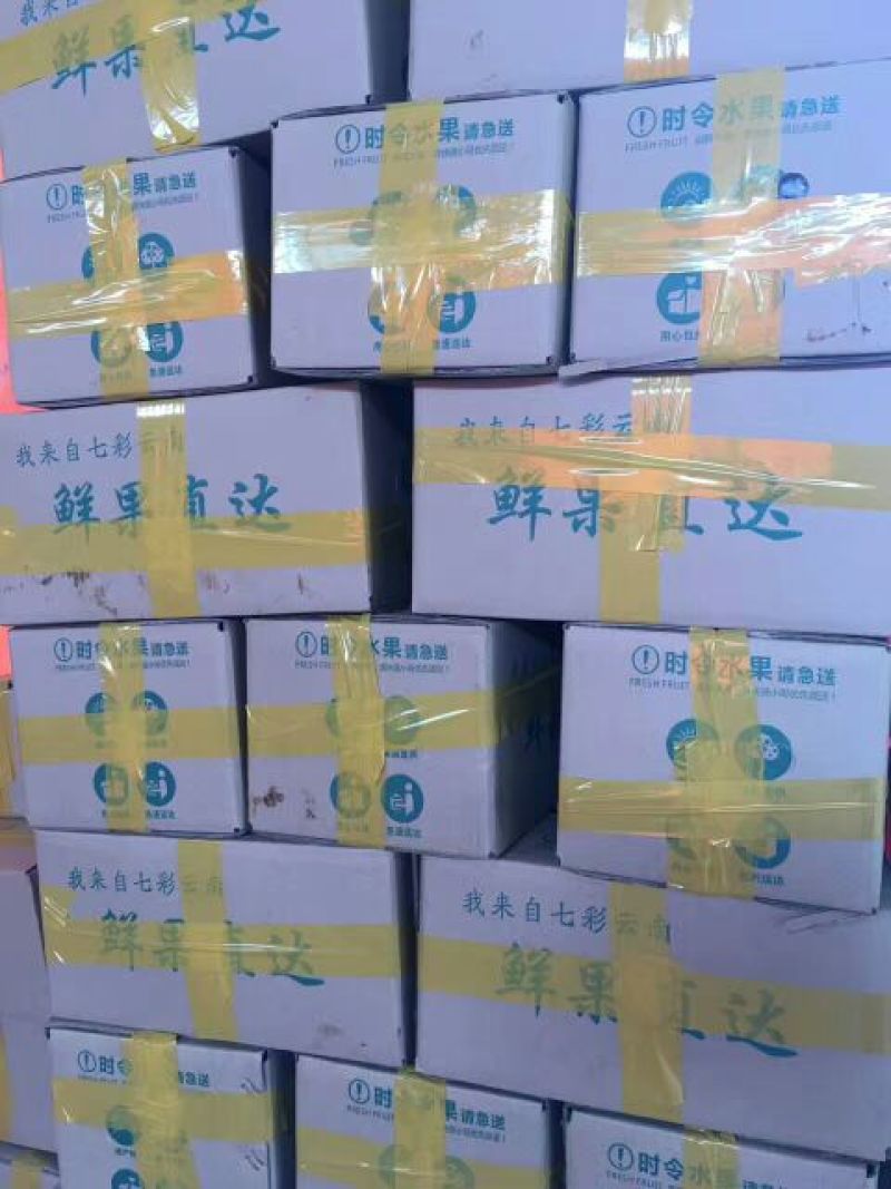 雪莲果5两以上