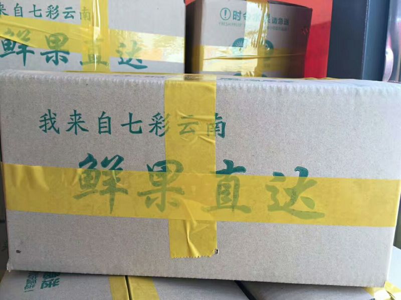 雪莲果5两以上