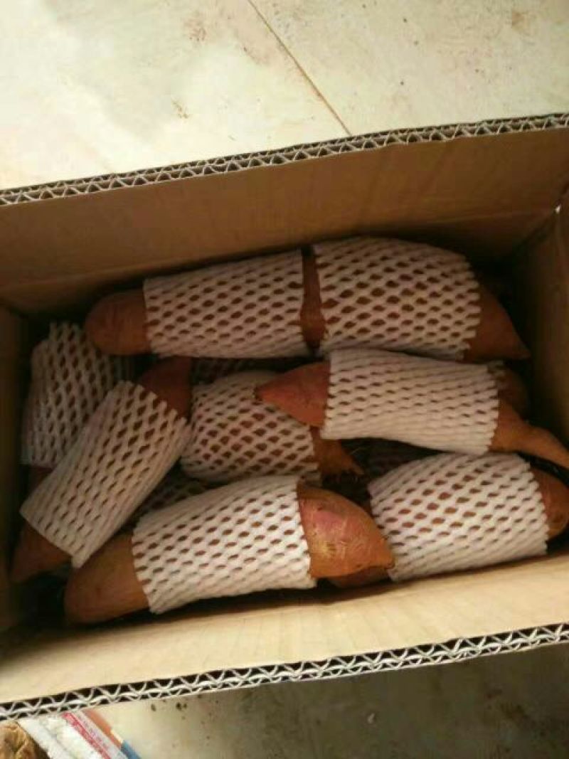 一点红红薯白肉，紫心。红皮，