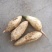 豆薯2500g以上