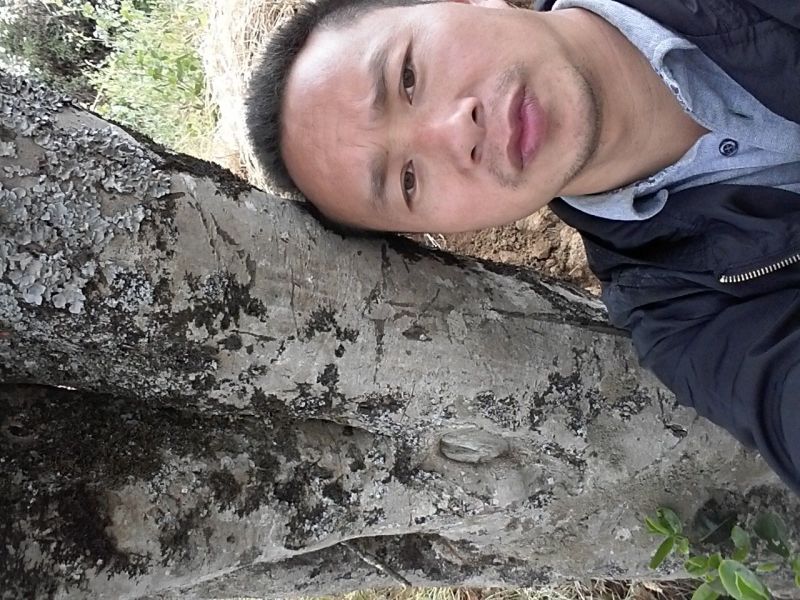 普洱茶三级