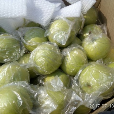 皇冠梨550~600g膜袋