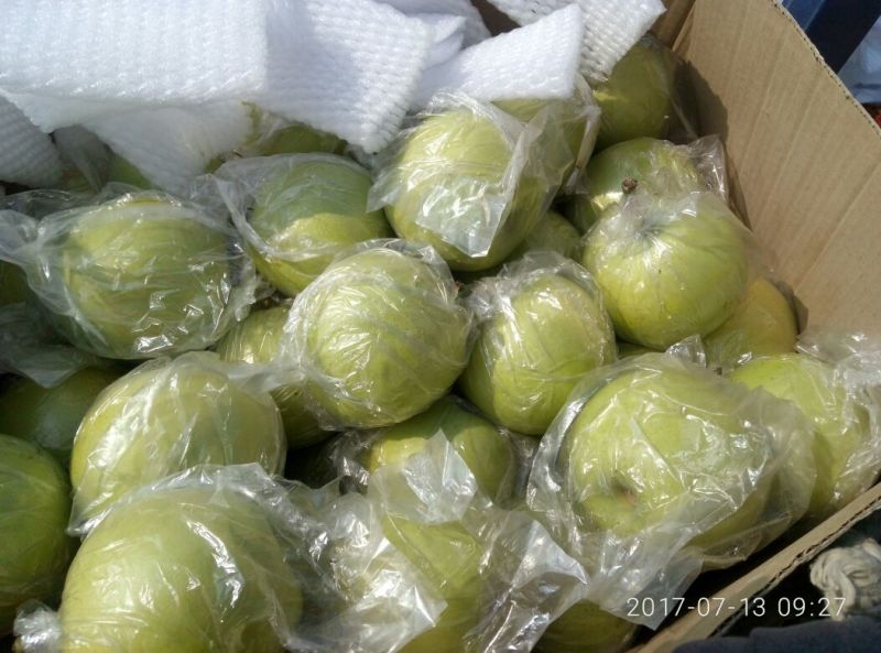 皇冠梨550~600g膜袋