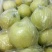 皇冠梨150~200g膜袋