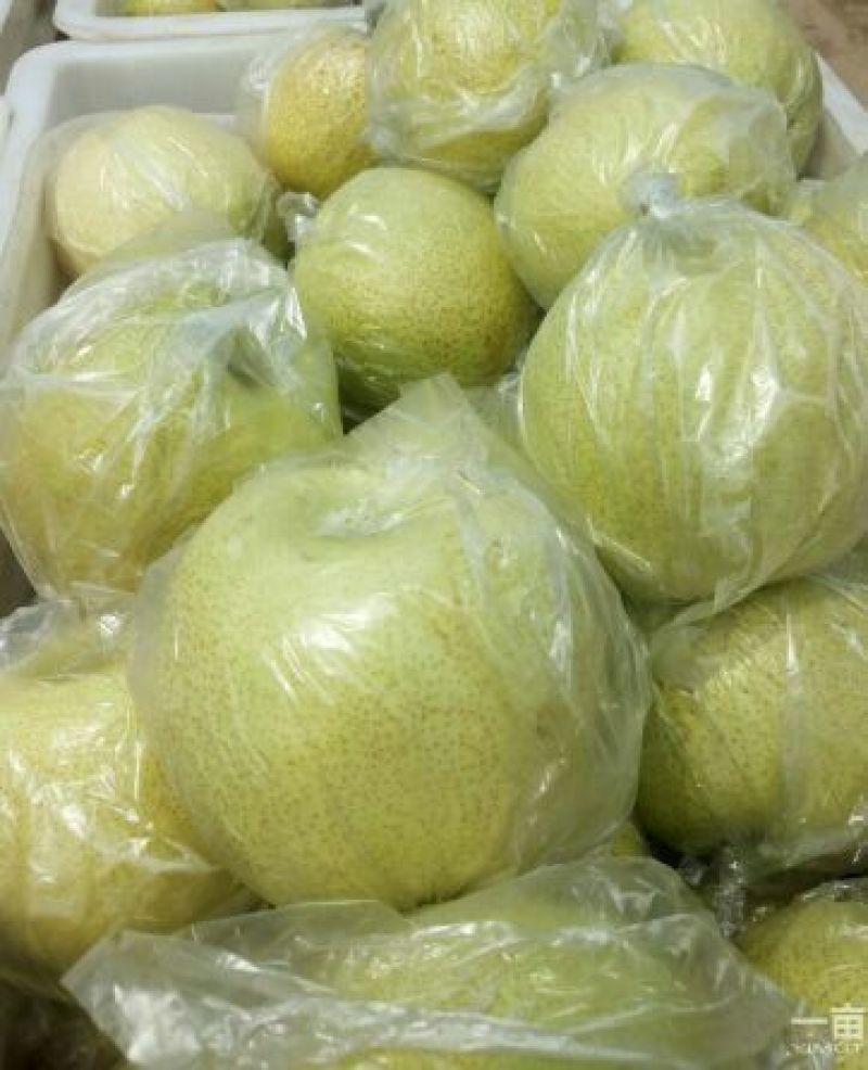 皇冠梨150~200g膜袋