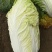 大白菜4~6斤净菜