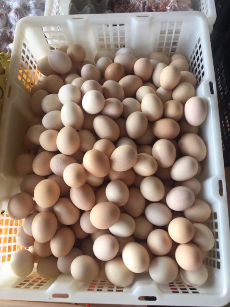 土鸡蛋食用50g以下