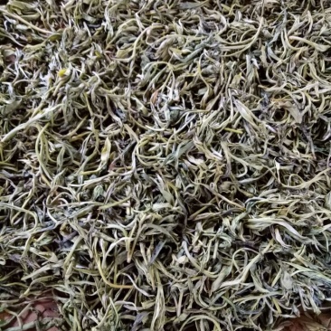 普洱茶二级