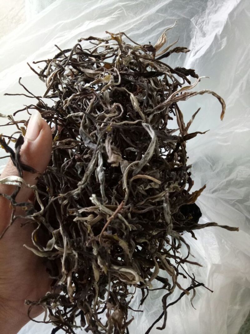 普洱茶二级