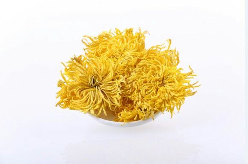菊花苗