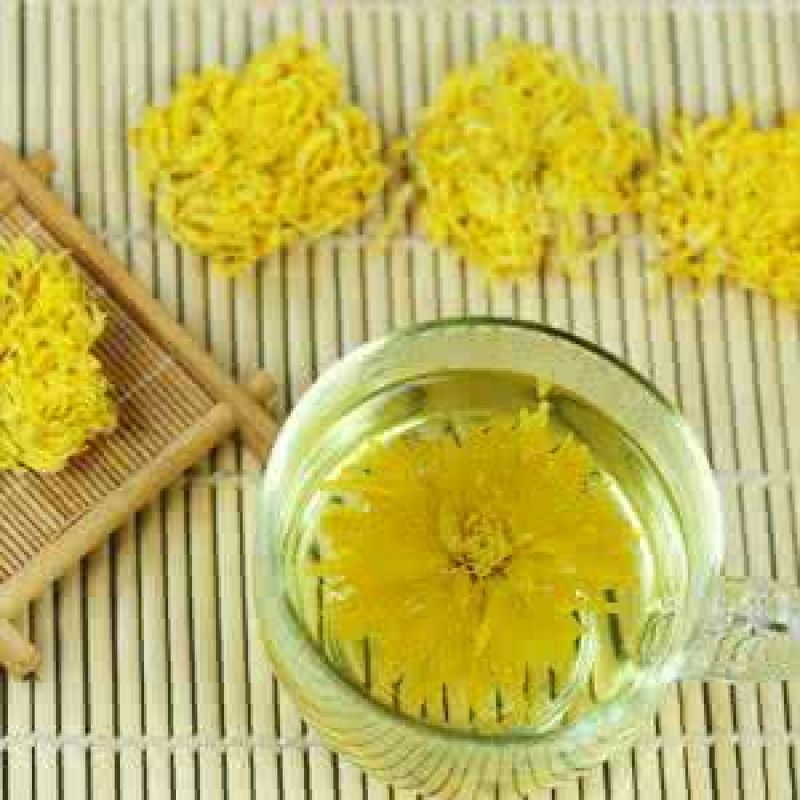 菊花苗